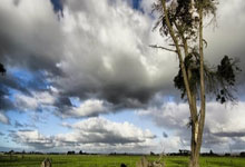 纷纷开花尽展才华，球艺精湛令人惊艳