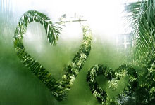 盖恩队在一场激动人心的比赛中打败对手赢得胜利