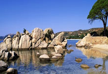 盖恩队在一场激动人心的比赛中打败对手赢得胜利