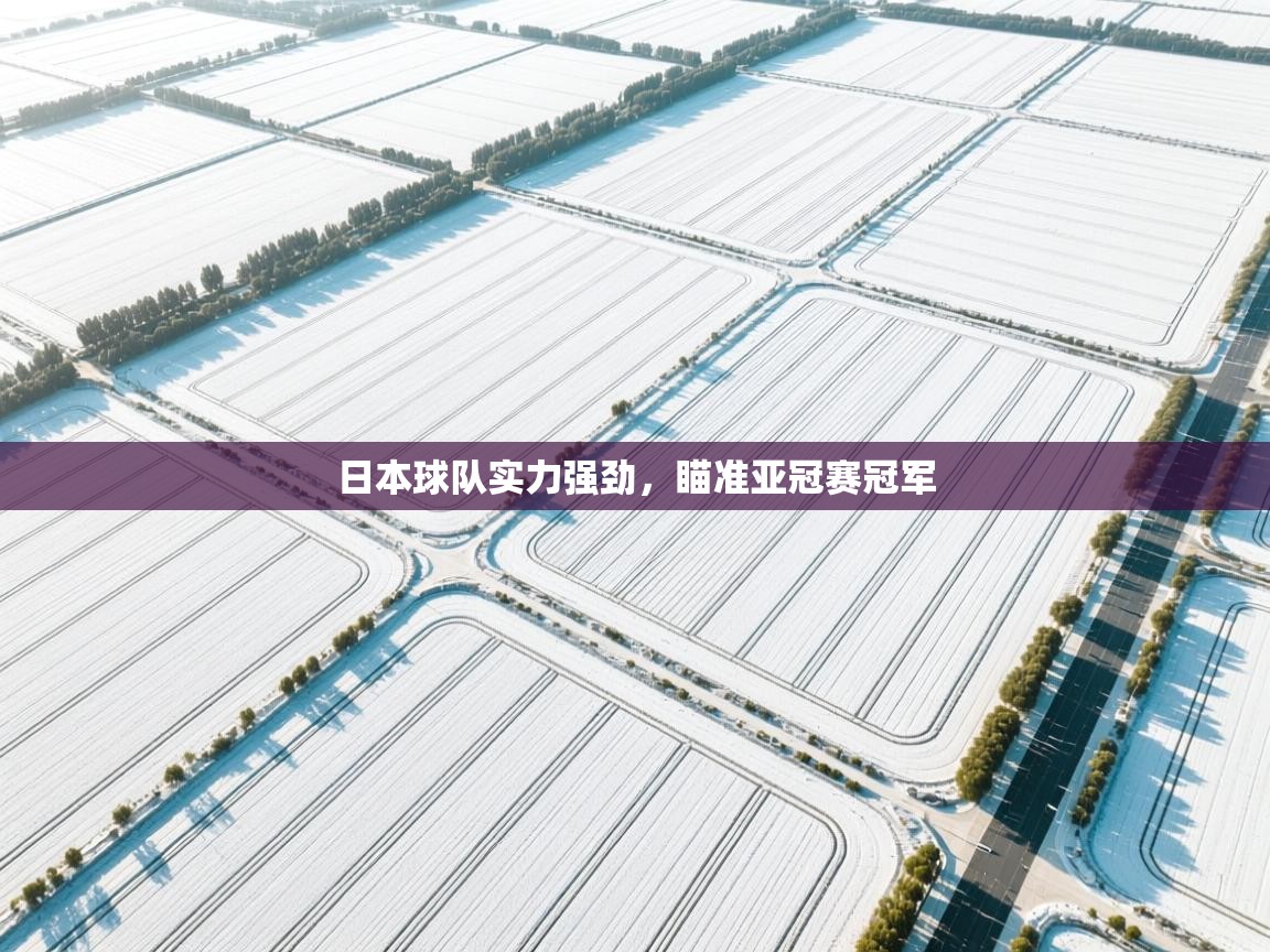 日本球队实力强劲，瞄准亚冠赛冠军  第1张