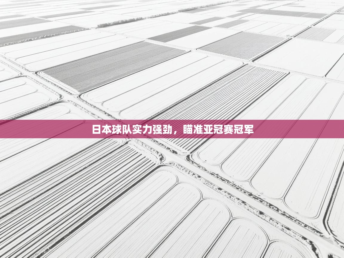 日本球队实力强劲，瞄准亚冠赛冠军  第2张