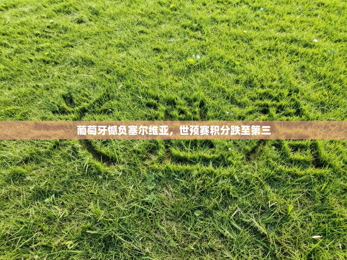 葡萄牙憾负塞尔维亚，世预赛积分跌至第三